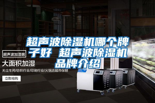 超聲波除濕機哪個(gè)牌子好 超聲波除濕機品牌介紹