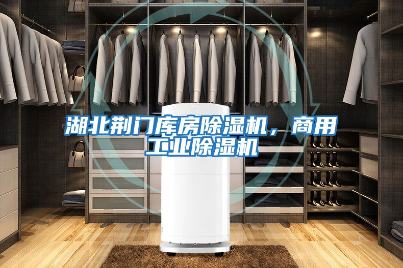 湖北荊門(mén)庫房除濕機，商用工業(yè)除濕機