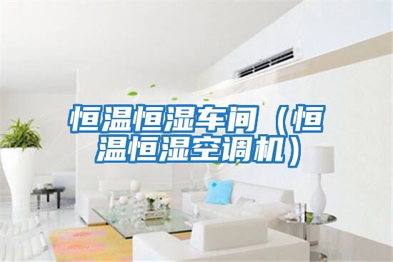 恒溫恒濕車(chē)間（恒溫恒濕空調機）