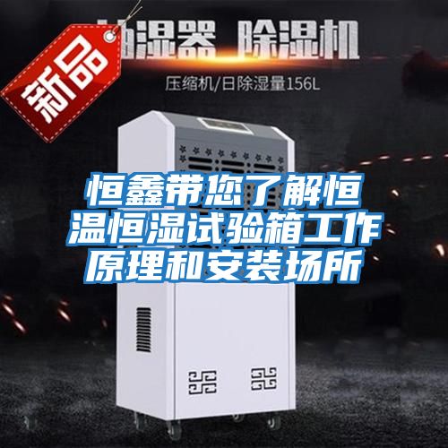 恒鑫帶您了解恒溫恒濕試驗箱工作原理和安裝場(chǎng)所