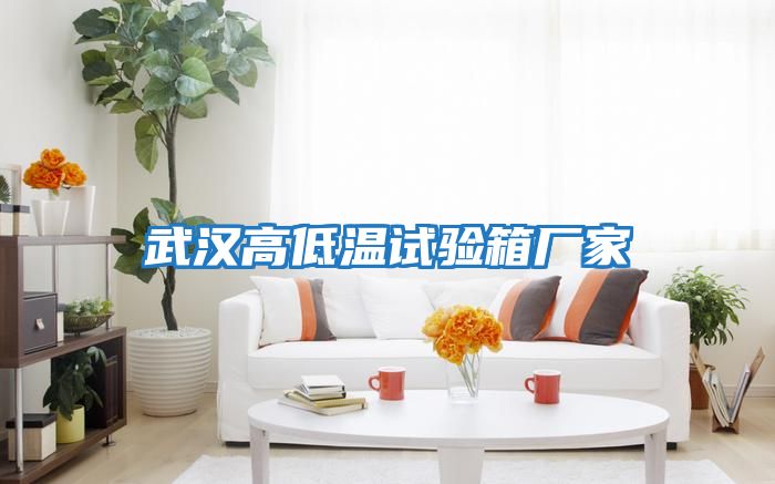 武漢高低溫試驗箱廠(chǎng)家