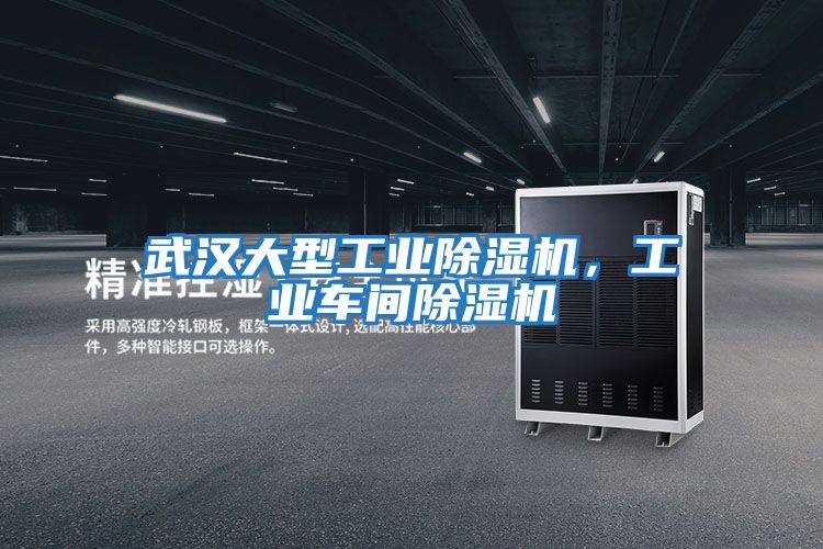 武漢大型工業(yè)除濕機，工業(yè)車(chē)間除濕機