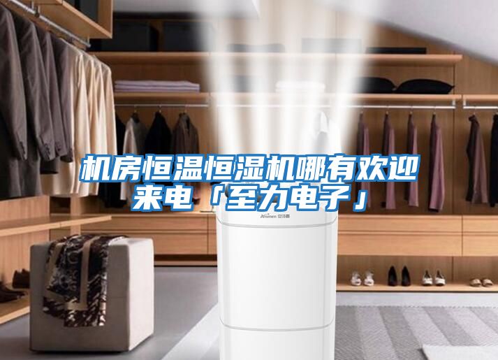 機房恒溫恒濕機哪有歡迎來(lái)電「至力電子」