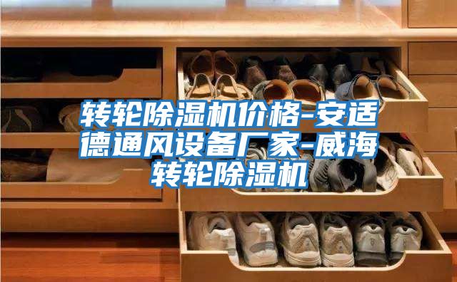 轉輪除濕機價(jià)格-安適德通風(fēng)設備廠(chǎng)家-威海轉輪除濕機