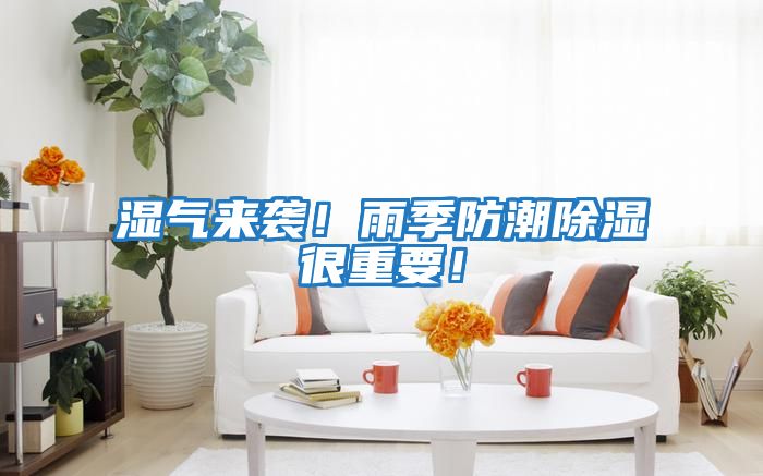 濕氣來(lái)襲！雨季防潮除濕很重要！