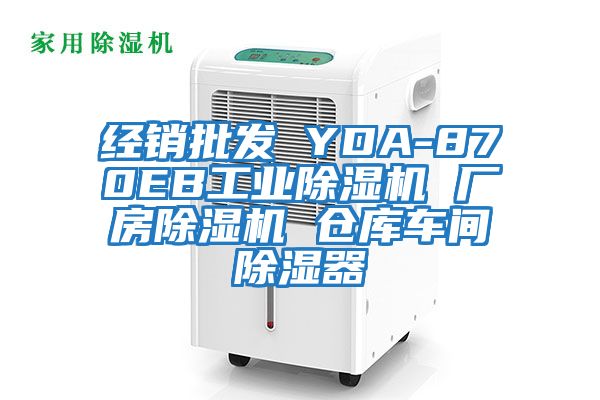 經(jīng)銷(xiāo)批發(fā) YDA-870EB工業(yè)除濕機 廠(chǎng)房除濕機 倉庫車(chē)間除濕器