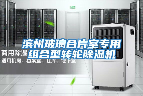 濱州玻璃合片室專(zhuān)用組合型轉輪除濕機