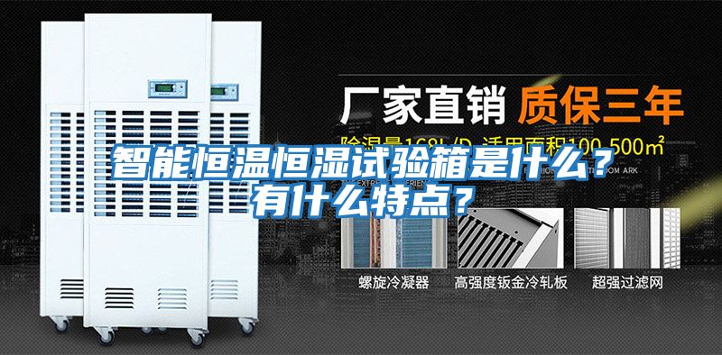 智能恒溫恒濕試驗箱是什么？有什么特點(diǎn)？