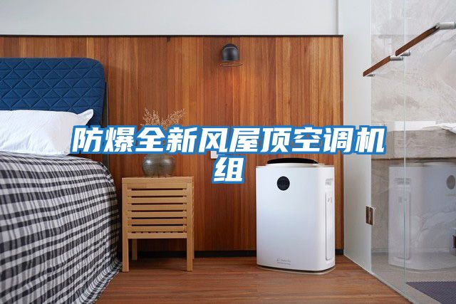 防爆全新風(fēng)屋頂空調機組