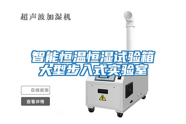 智能恒溫恒濕試驗箱大型步入式實(shí)驗室