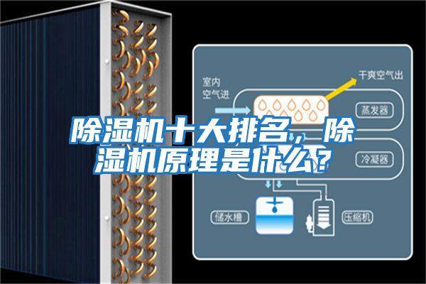 除濕機十大排名，除濕機原理是什么？