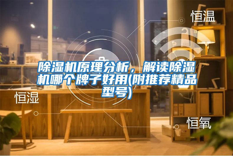 除濕機原理分析，解讀除濕機哪個(gè)牌子好用(附推薦精品型號)