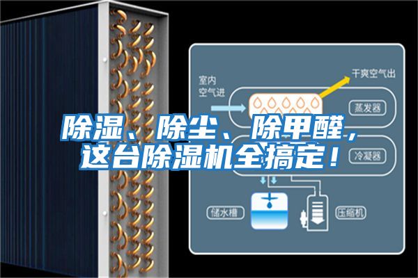 除濕、除塵、除甲醛，這臺除濕機全搞定！