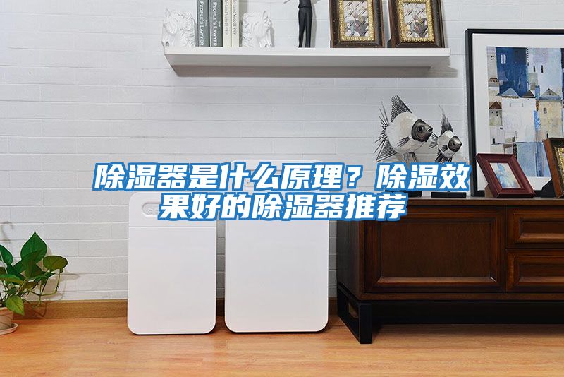 除濕器是什么原理？除濕效果好的除濕器推薦