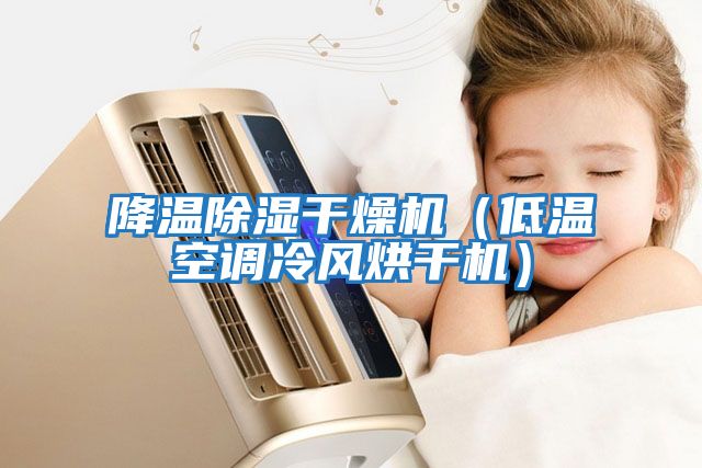 降溫除濕干燥機（低溫空調冷風(fēng)烘干機）