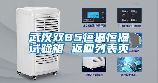 武漢雙85恒溫恒濕試驗箱 返回列表頁(yè)