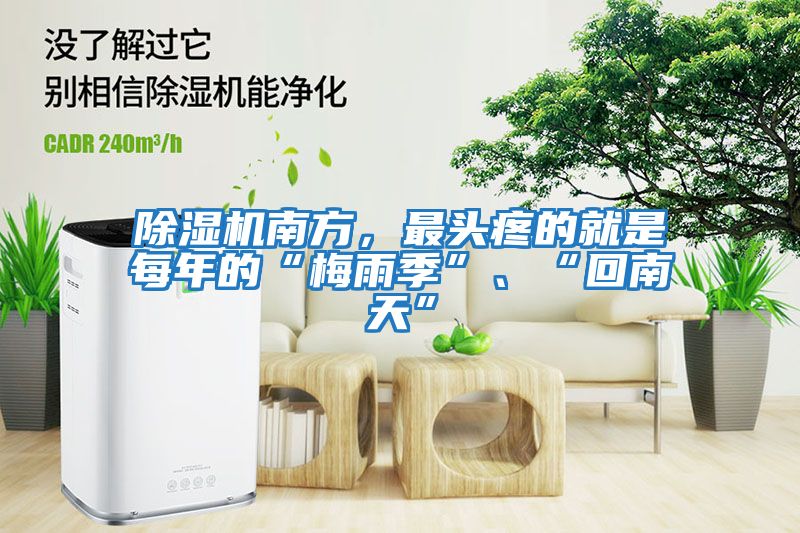 除濕機南方，最頭疼的就是每年的“梅雨季”、“回南天”