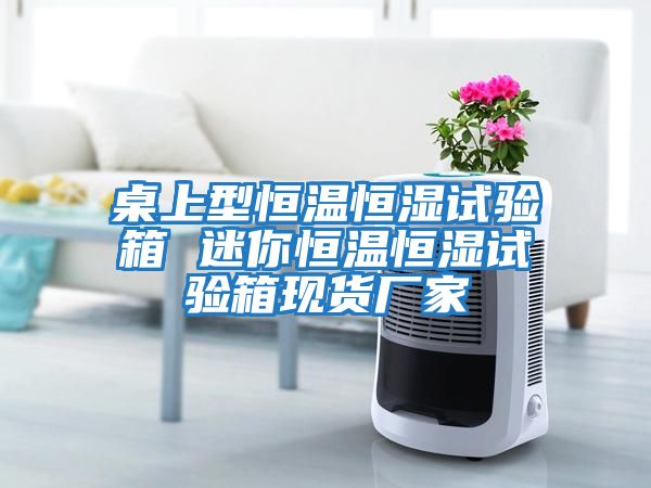桌上型恒溫恒濕試驗箱 迷你恒溫恒濕試驗箱現貨廠(chǎng)家