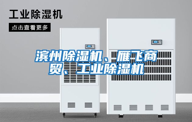 濱州除濕機、雁飛商貿、工業(yè)除濕機
