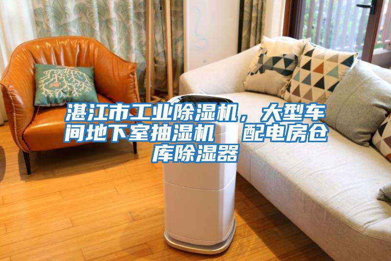 湛江市工業(yè)除濕機，大型車(chē)間地下室抽濕機  配電房倉庫除濕器