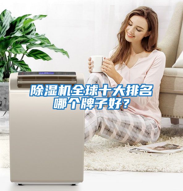 除濕機全球十大排名哪個(gè)牌子好？