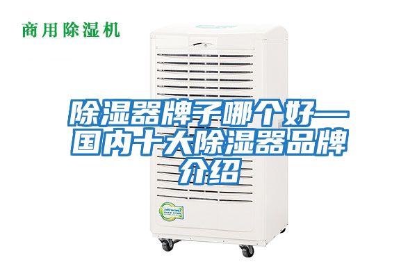 除濕器牌子哪個(gè)好—國內十大除濕器品牌介紹