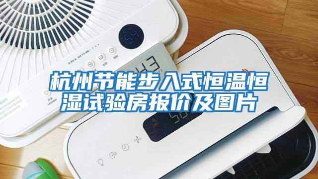 杭州節能步入式恒溫恒濕試驗房報價(jià)及圖片