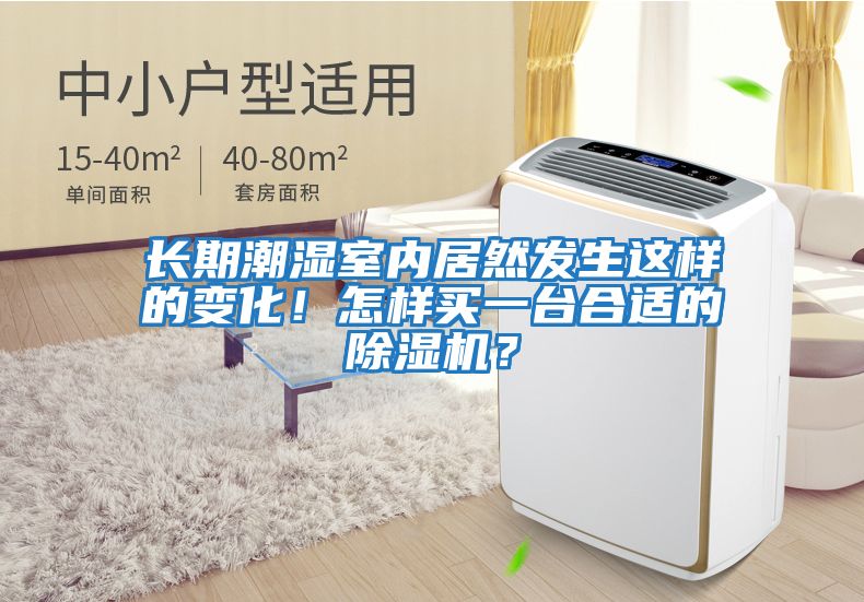 長(cháng)期潮濕室內居然發(fā)生這樣的變化！怎樣買(mǎi)一臺合適的除濕機？