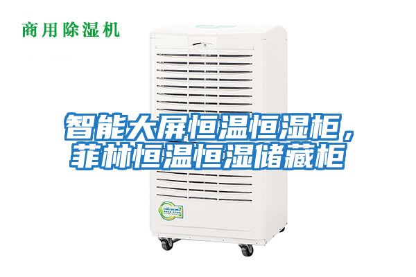 智能大屏恒溫恒濕柜，菲林恒溫恒濕儲藏柜