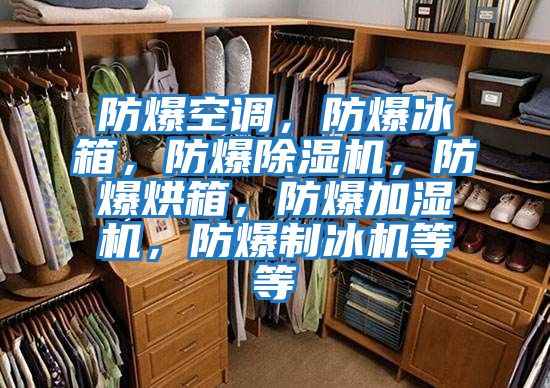 防爆空調，防爆冰箱，防爆除濕機，防爆烘箱，防爆加濕機，防爆制冰機等等