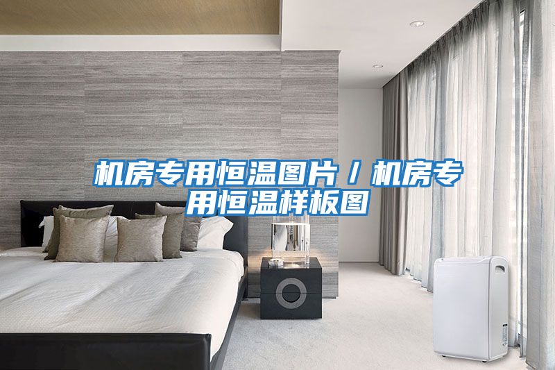 機房專(zhuān)用恒溫圖片／機房專(zhuān)用恒溫樣板圖