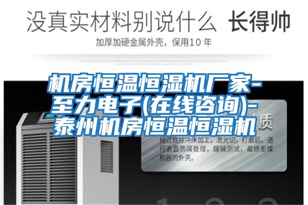 機房恒溫恒濕機廠(chǎng)家-至力電子(在線(xiàn)咨詢(xún))-泰州機房恒溫恒濕機