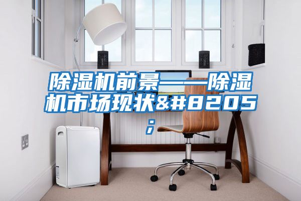 除濕機前景——除濕機市場(chǎng)現狀‍‍