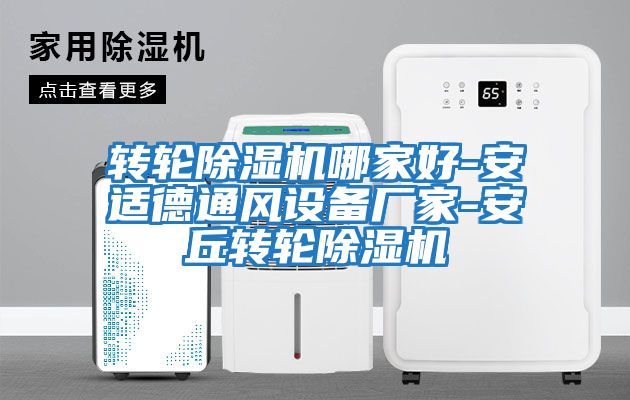 轉輪除濕機哪家好-安適德通風(fēng)設備廠(chǎng)家-安丘轉輪除濕機