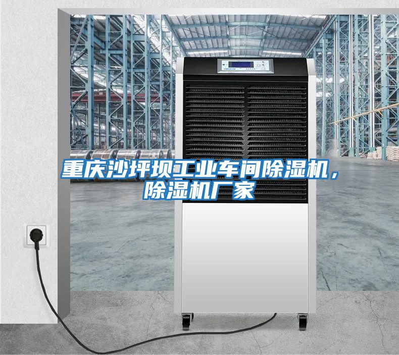 重慶沙坪壩工業(yè)車(chē)間除濕機，除濕機廠(chǎng)家