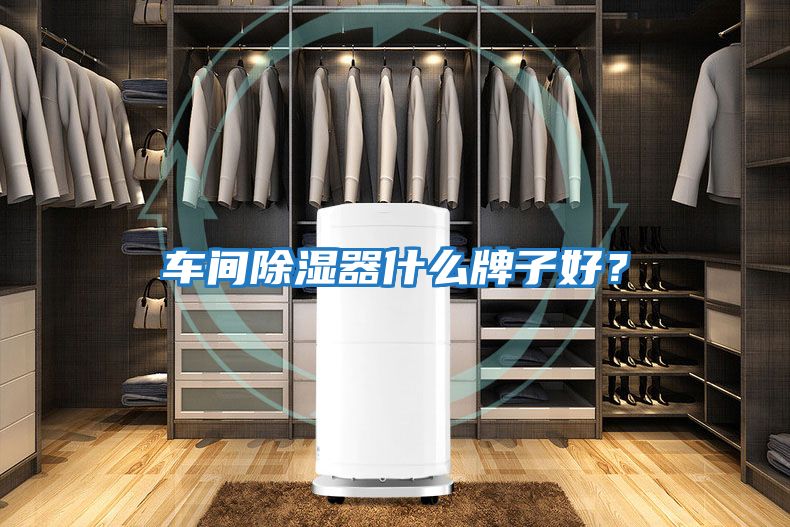 車(chē)間除濕器什么牌子好？