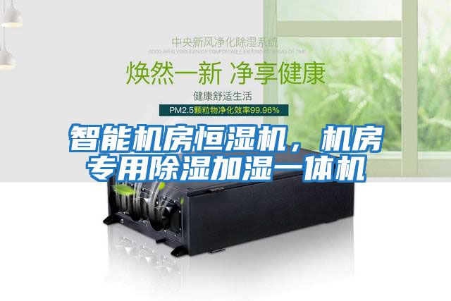 智能機房恒濕機，機房專(zhuān)用除濕加濕一體機