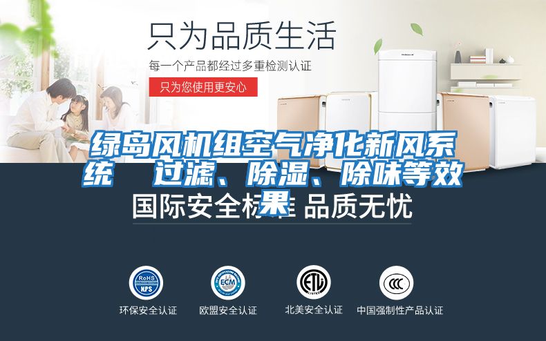 綠島風(fēng)機組空氣凈化新風(fēng)系統  過(guò)濾、除濕、除味等效果