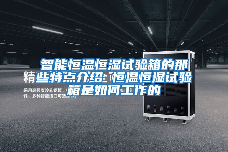 智能恒溫恒濕試驗箱的那些特點(diǎn)介紹 恒溫恒濕試驗箱是如何工作的