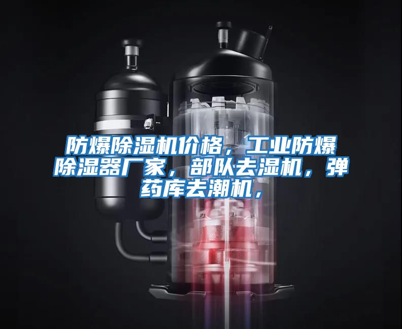 防爆除濕機價(jià)格，工業(yè)防爆除濕器廠(chǎng)家，部隊去濕機，彈藥庫去潮機，