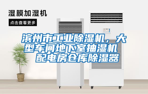 濱州市工業(yè)除濕機，大型車(chē)間地下室抽濕機  配電房倉庫除濕器