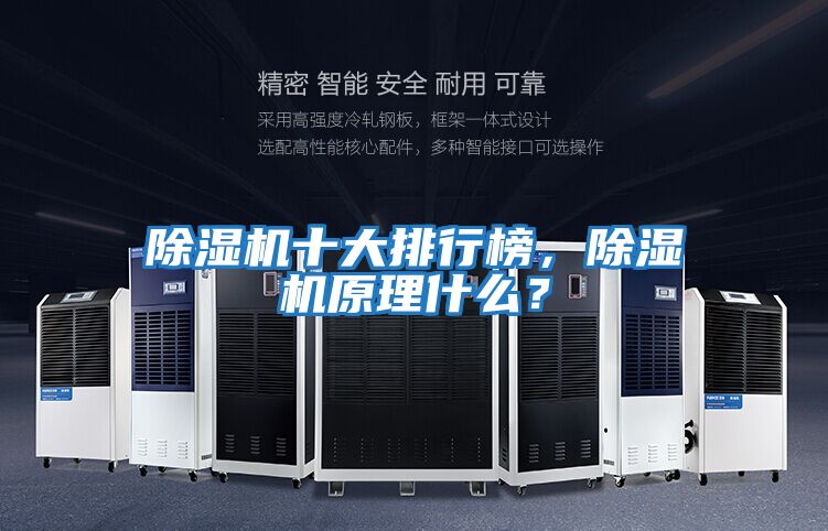 除濕機十大排行榜，除濕機原理什么？