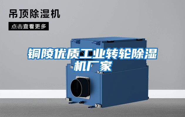銅陵優(yōu)質(zhì)工業(yè)轉輪除濕機廠(chǎng)家