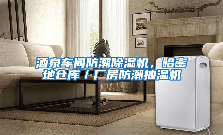 酒泉車(chē)間防潮除濕機，哈密地倉庫／廠(chǎng)房防潮抽濕機