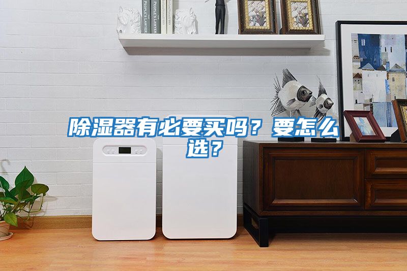 除濕器有必要買(mǎi)嗎？要怎么選？
