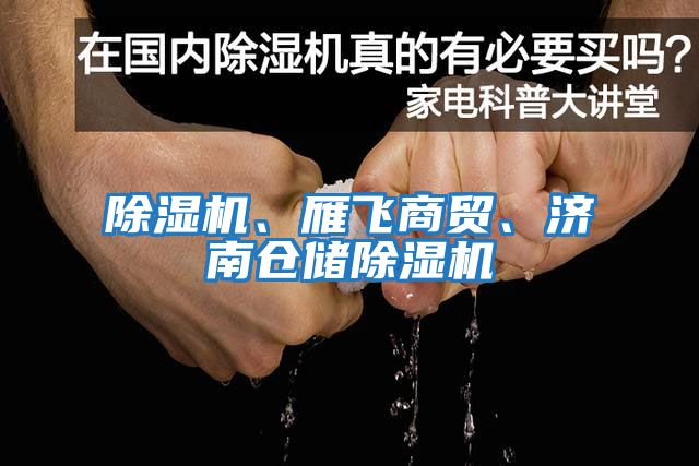 除濕機、雁飛商貿、濟南倉儲除濕機