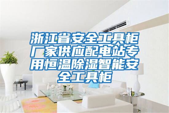 浙江省安全工具柜廠(chǎng)家供應配電站專(zhuān)用恒溫除濕智能安全工具柜