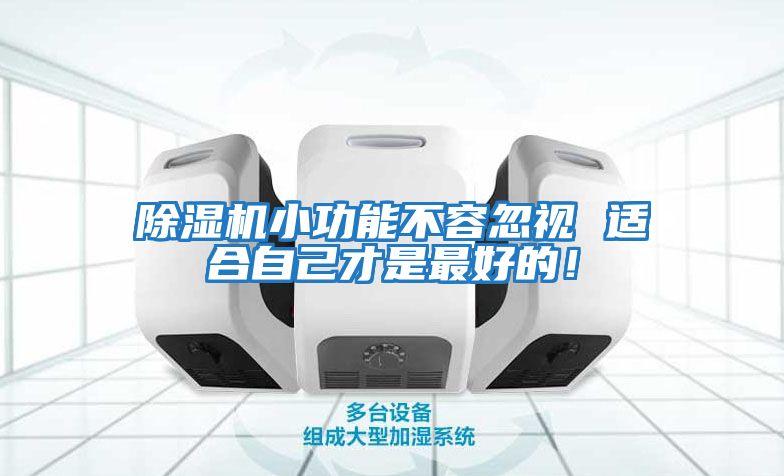除濕機小功能不容忽視 適合自己才是最好的！