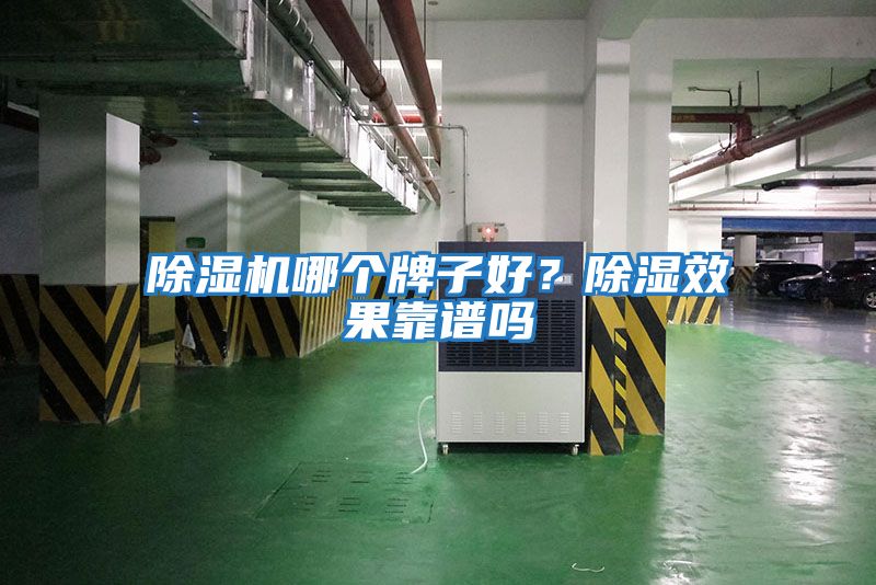 除濕機哪個(gè)牌子好？除濕效果靠譜嗎