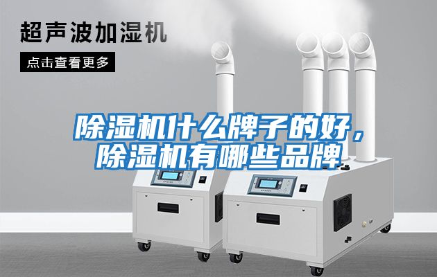 除濕機什么牌子的好，除濕機有哪些品牌